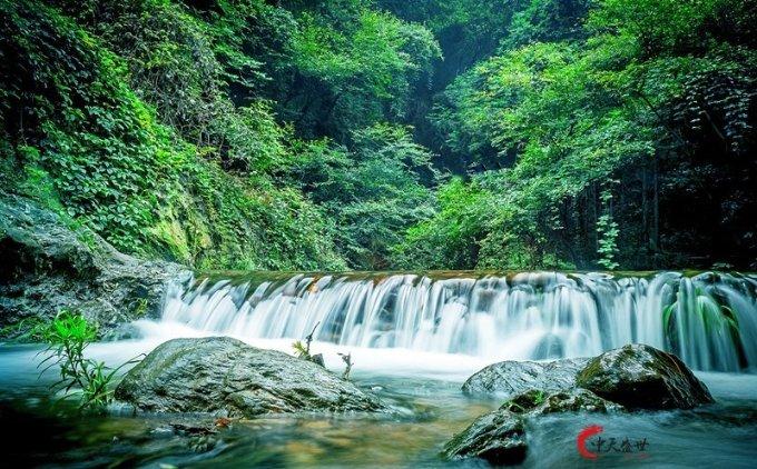俄土外长讨论双边接触时间表